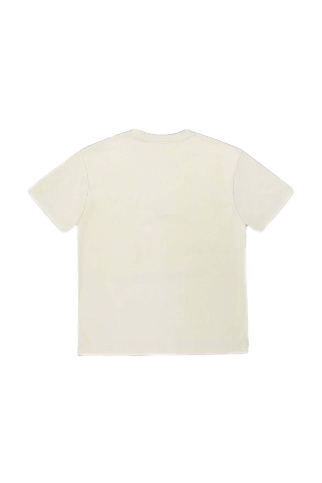 Blank T- Shirt